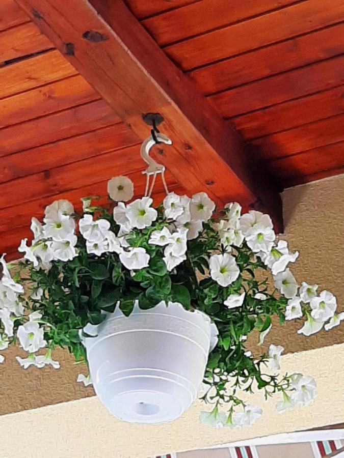 Villa Csilla Elegant House Ерд Екстериор снимка